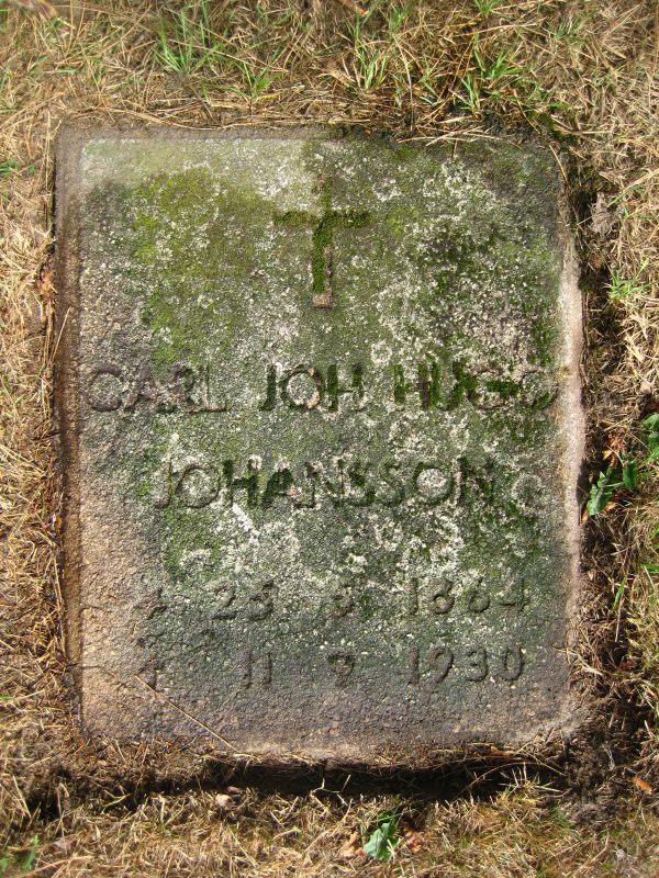 Carl Johan Hugo Johanson.jpg